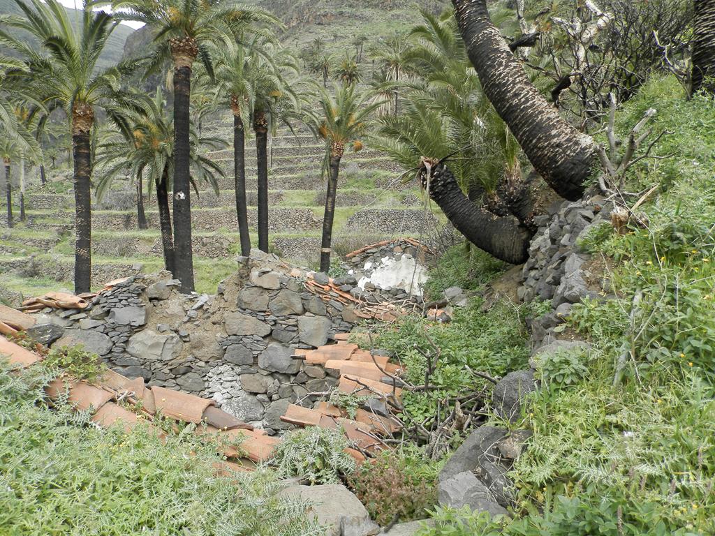 Wanderung von Arure nach  El Cercado, Calera